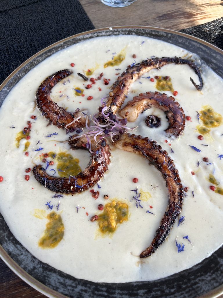 Pulpo bei Porto Cesareo